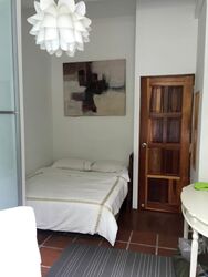 Emerald Hill Conservation Area (D9), Apartment #537239651
